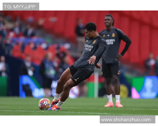 绵羊卷的足球明星如何在绿茵场上展现独特魅力与风采