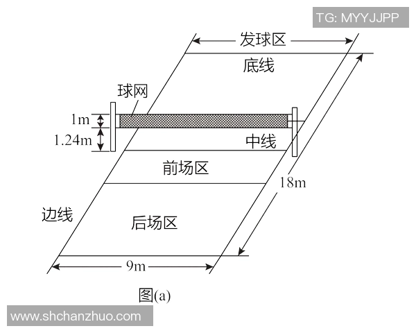 上海排球队在世界杯中的战术解析与表现评估
